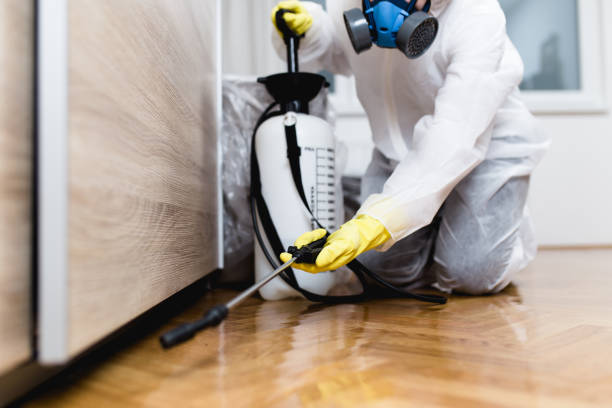 Best Wasp Removal Services  in Southfield, MI
