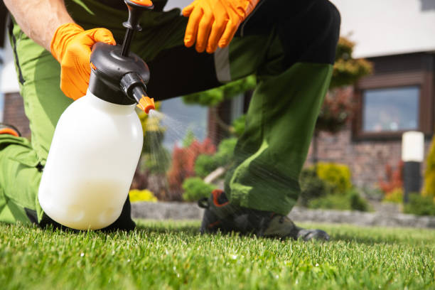 Best Wildlife Control Services  in Southfield, MI