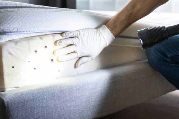Best Pest Prevention Services  in Southfield, MI