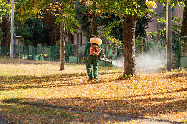 Best Mosquito Control Services  in Southfield, MI