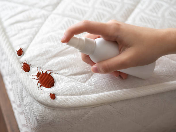 Best Exterminator Services  in Southfield, MI
