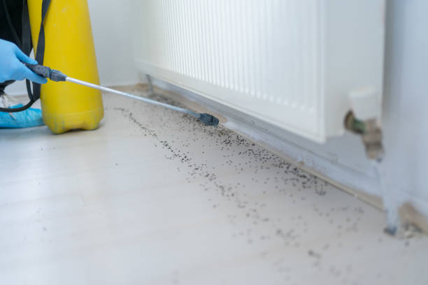 Best Pest Control for Businesses  in Southfield, MI