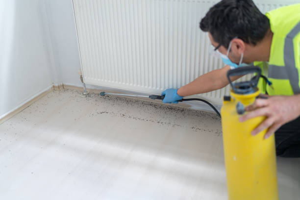 Best Cockroach Control Services  in Southfield, MI